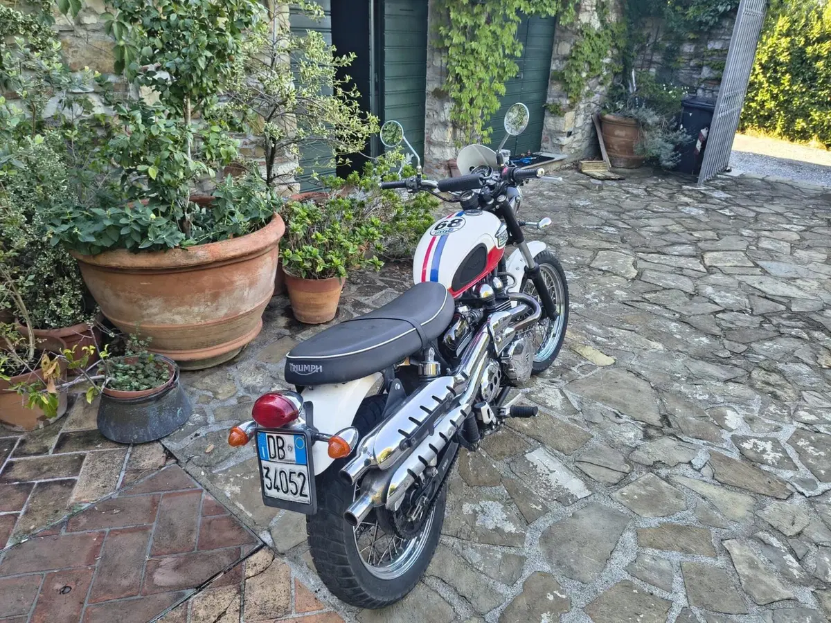 Triumph Scrambler (2006 - 17) (4)