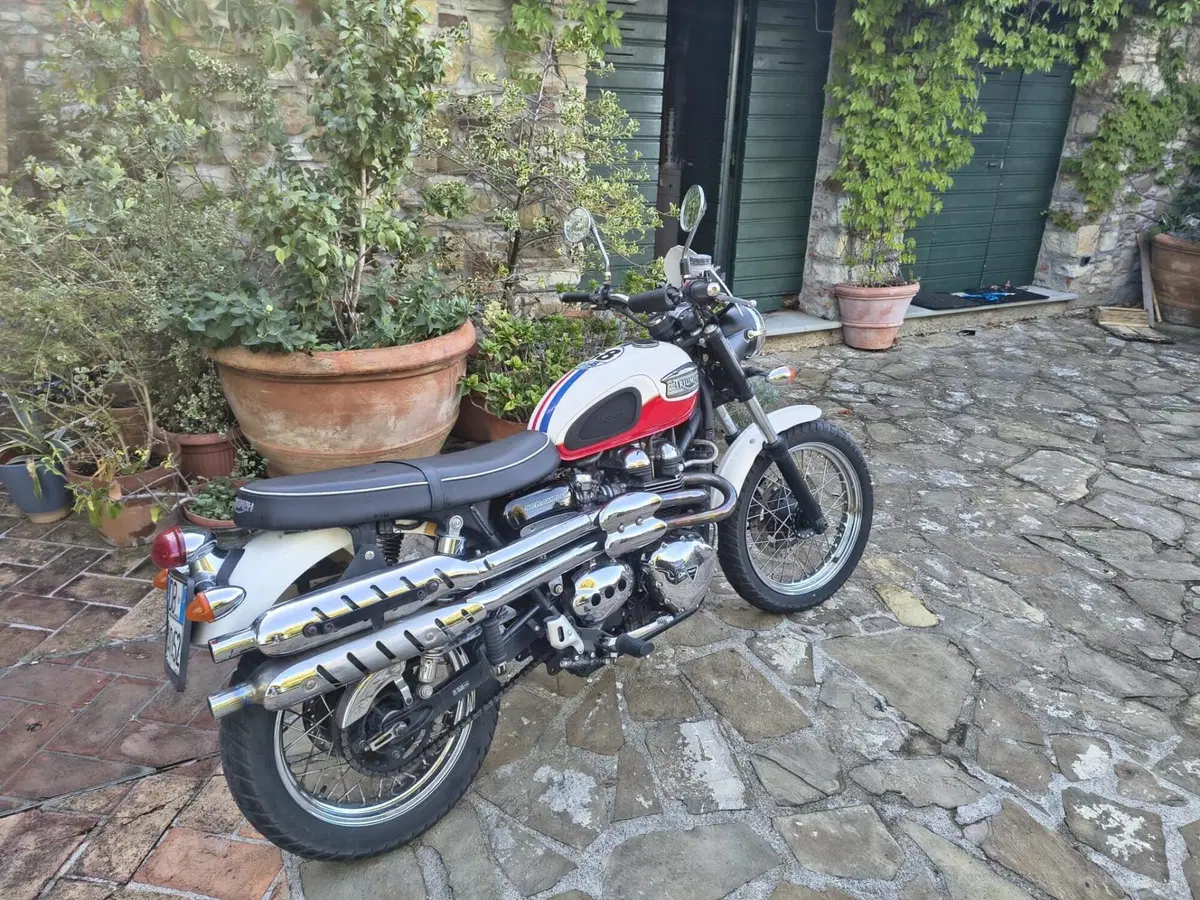 Triumph Scrambler (2006 - 17) (5)