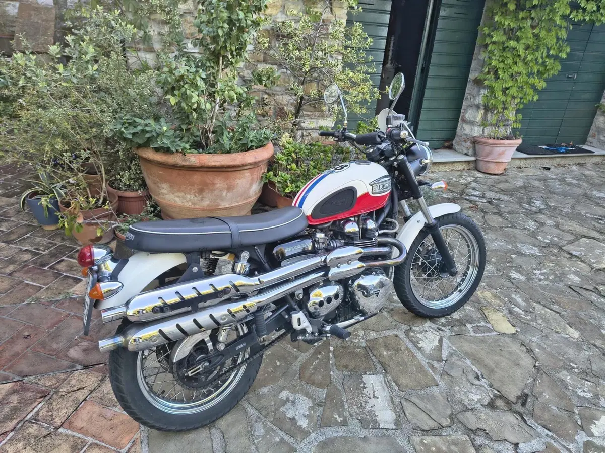 Triumph Scrambler (2006 - 17) (9)