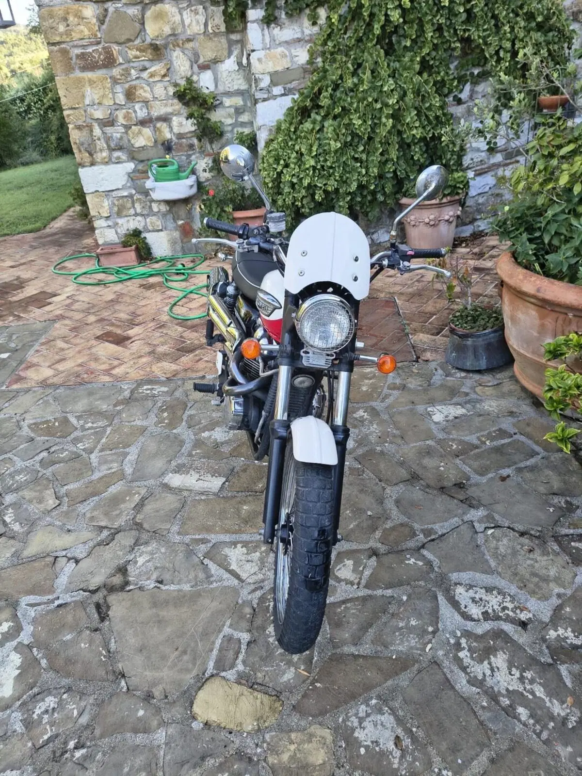 Triumph Scrambler (2006 - 17) (10)