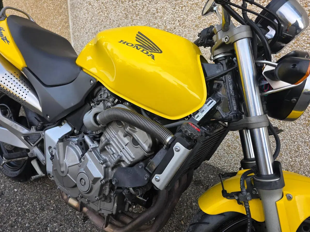 Honda Hornet 600 (2000 - 02) (2)
