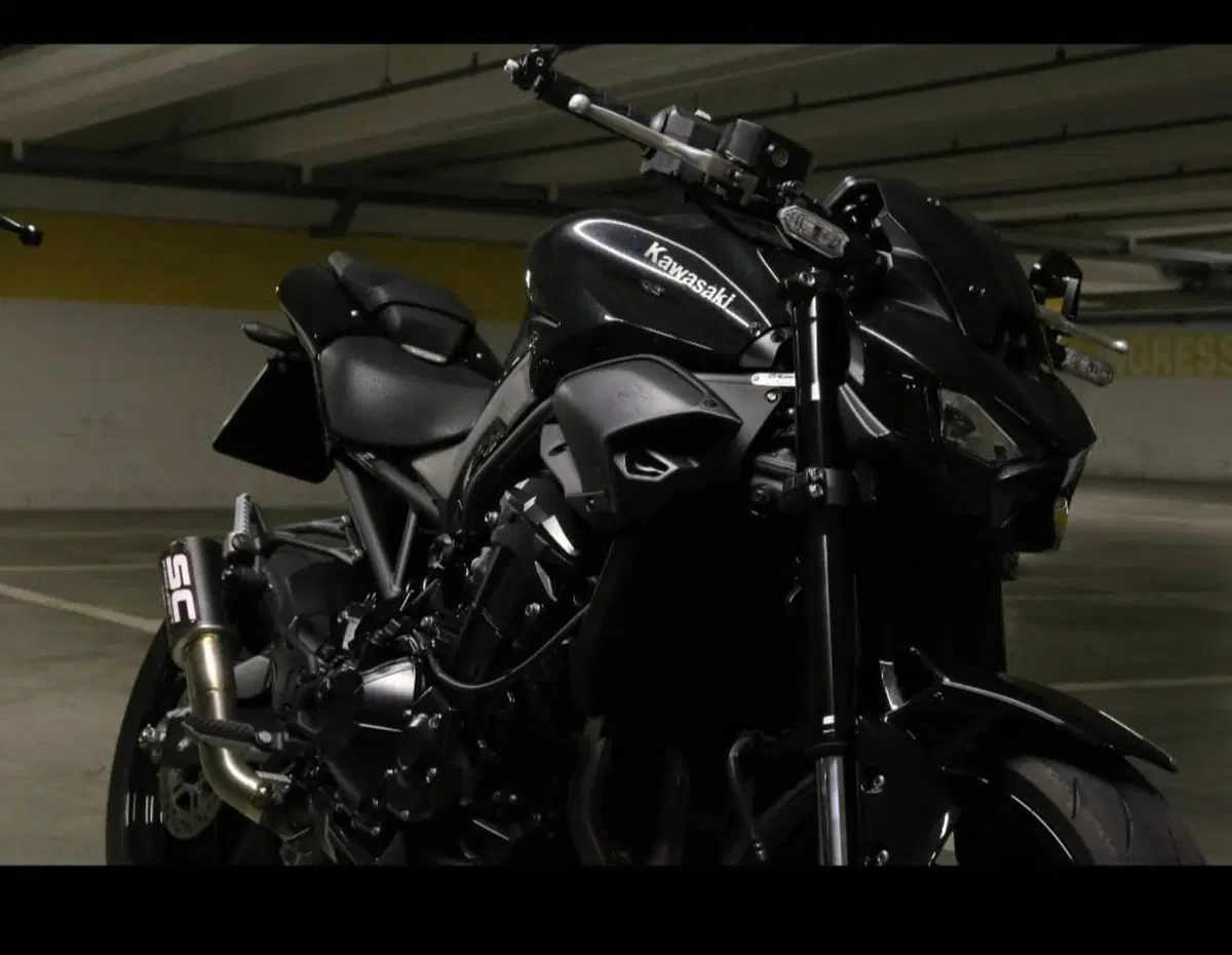 Kawasaki Z 900 (2025 - 27) (2)