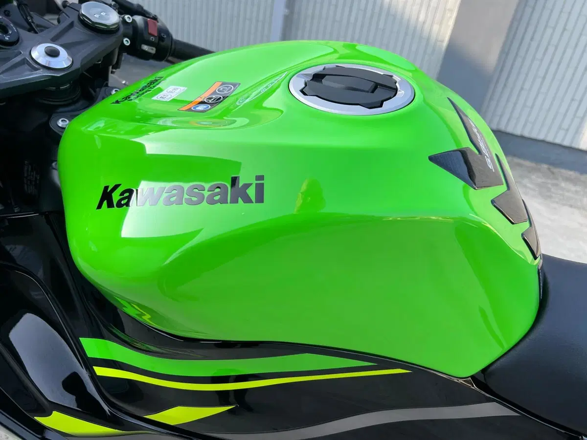 Kawasaki Ninja 636 ZX-6R KRT (2019 - 20) (6)