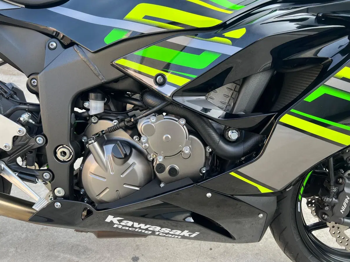 Kawasaki Ninja 636 ZX-6R KRT (2019 - 20) (10)