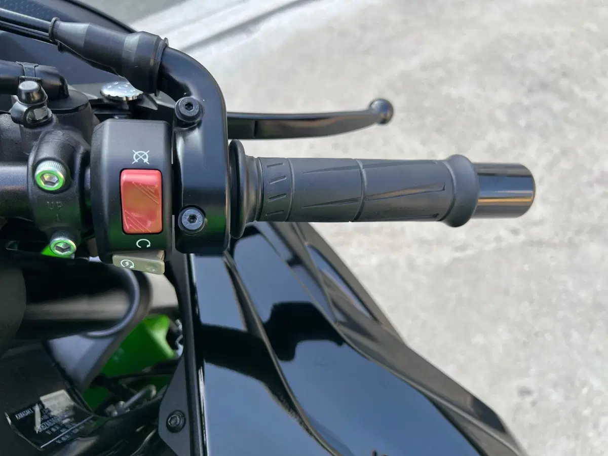 Kawasaki Ninja 636 ZX-6R KRT (2019 - 20) (17)