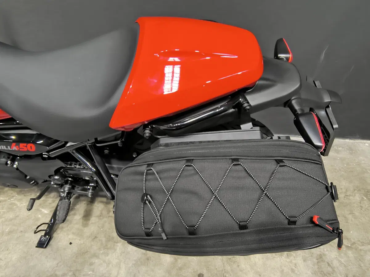 Royal Enfield Guerrilla 450 Apex (2026) (11)