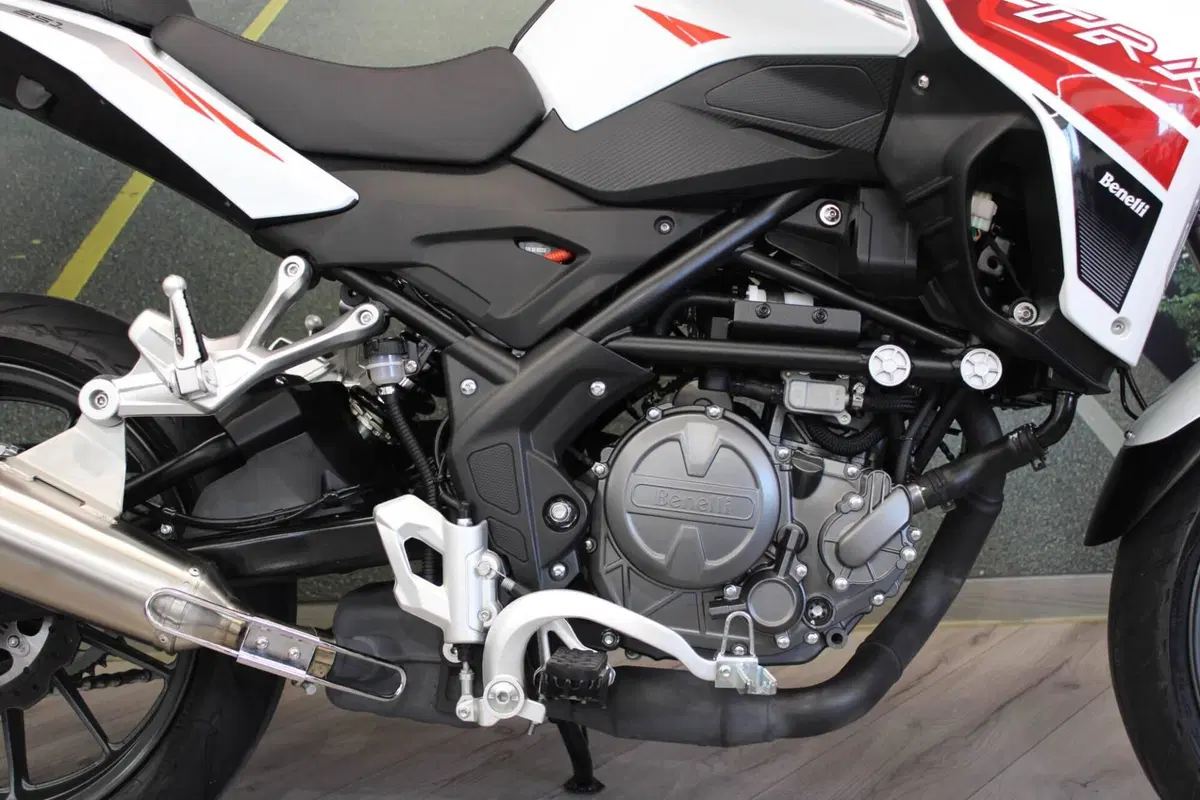 Benelli TRK 251 (2022 - 25) (14)