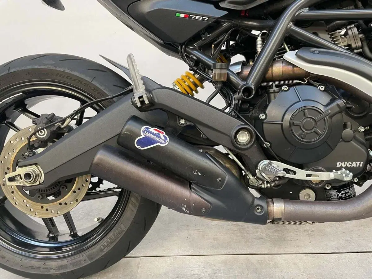 Ducati Monster 797 (2017 - 18) (5)