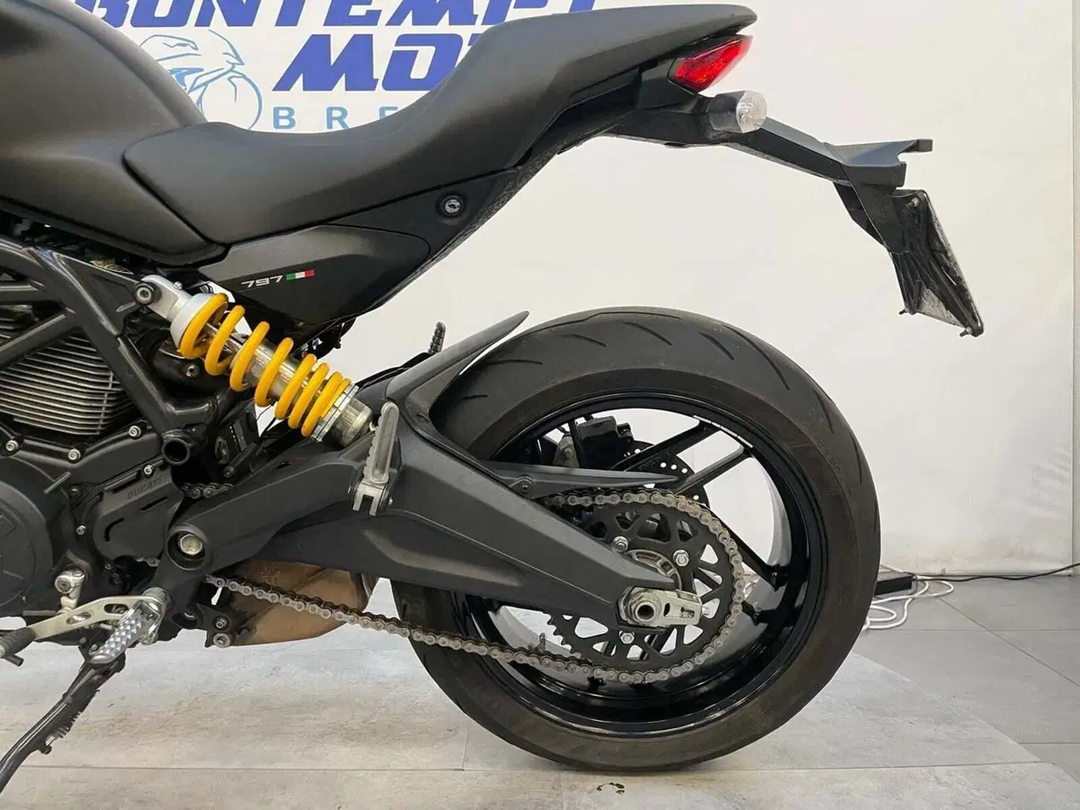 Ducati Monster 797 (2017 - 18) (8)