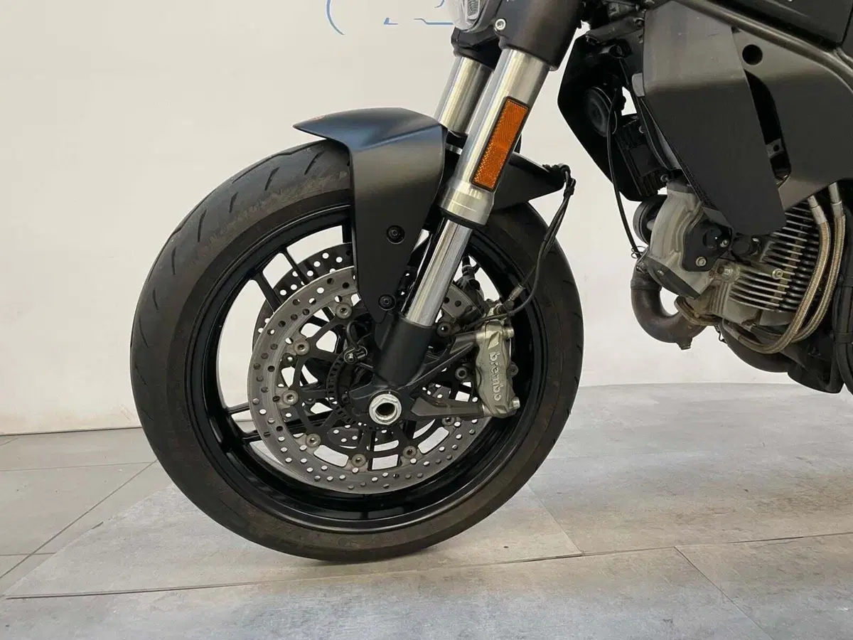Ducati Monster 797 (2017 - 18) (9)