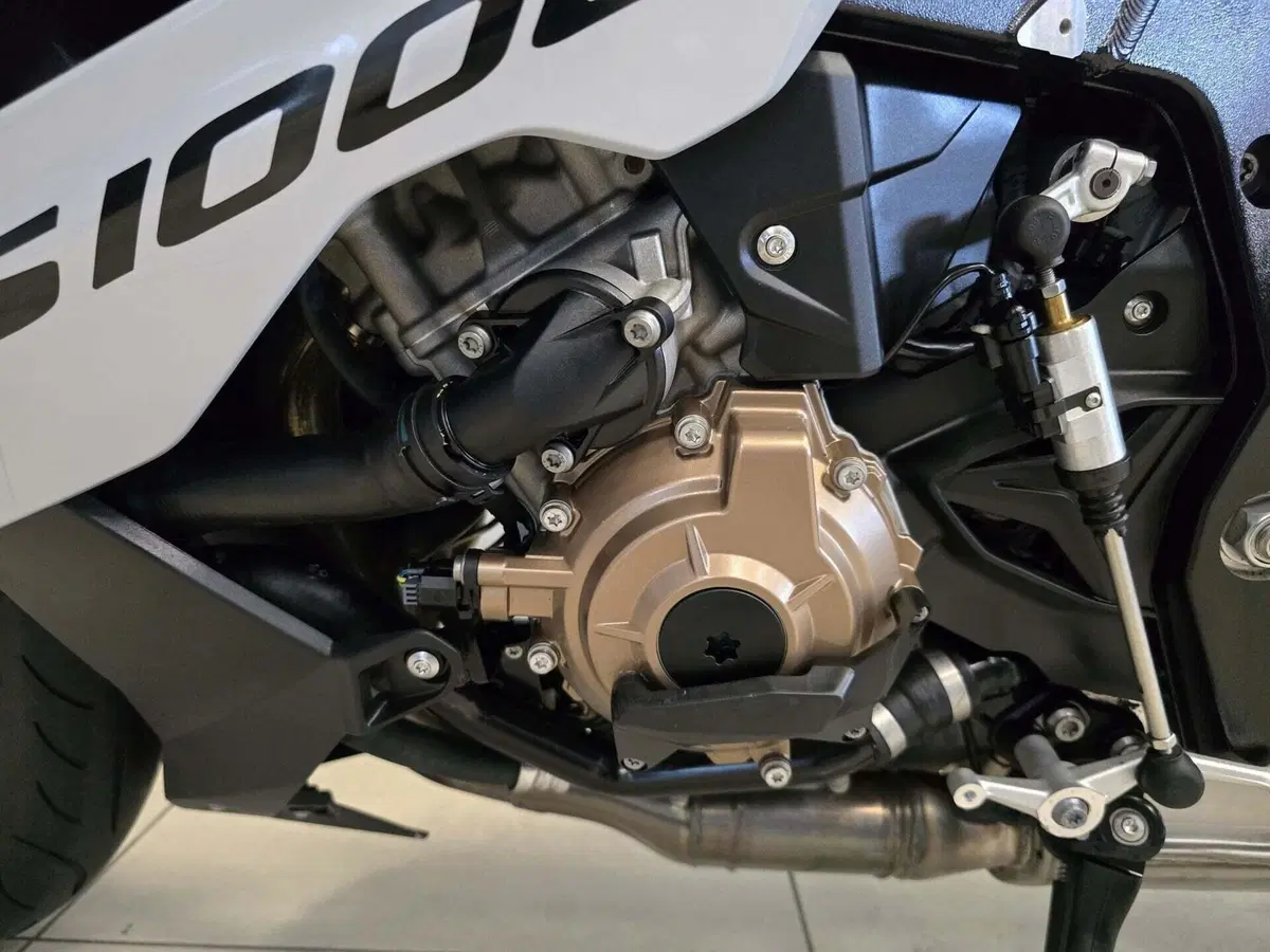 Bmw S 1000 R (2021 - 24) (11)