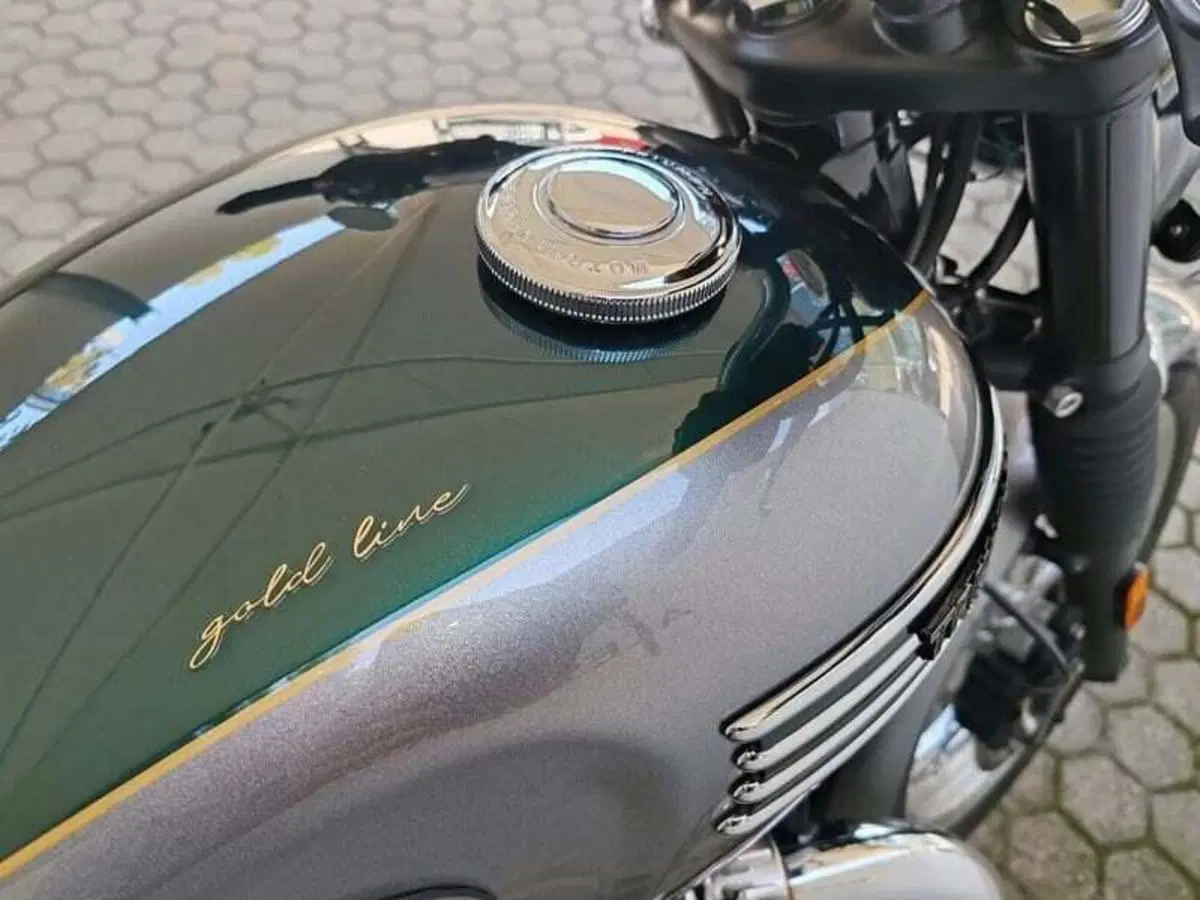 Triumph Bonneville T120 (2021 - 25) (5)