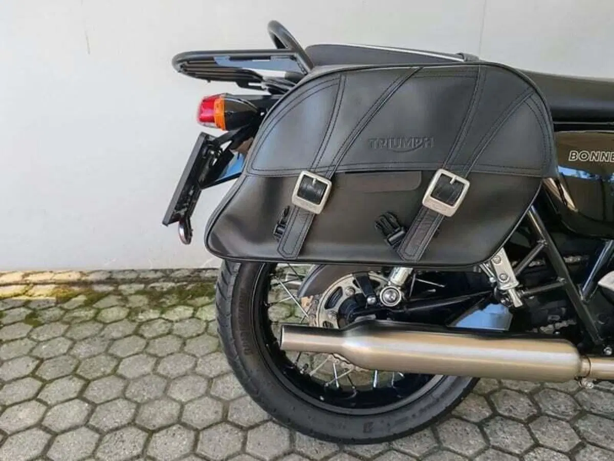 Triumph Bonneville T100 (2021 - 25) (6)