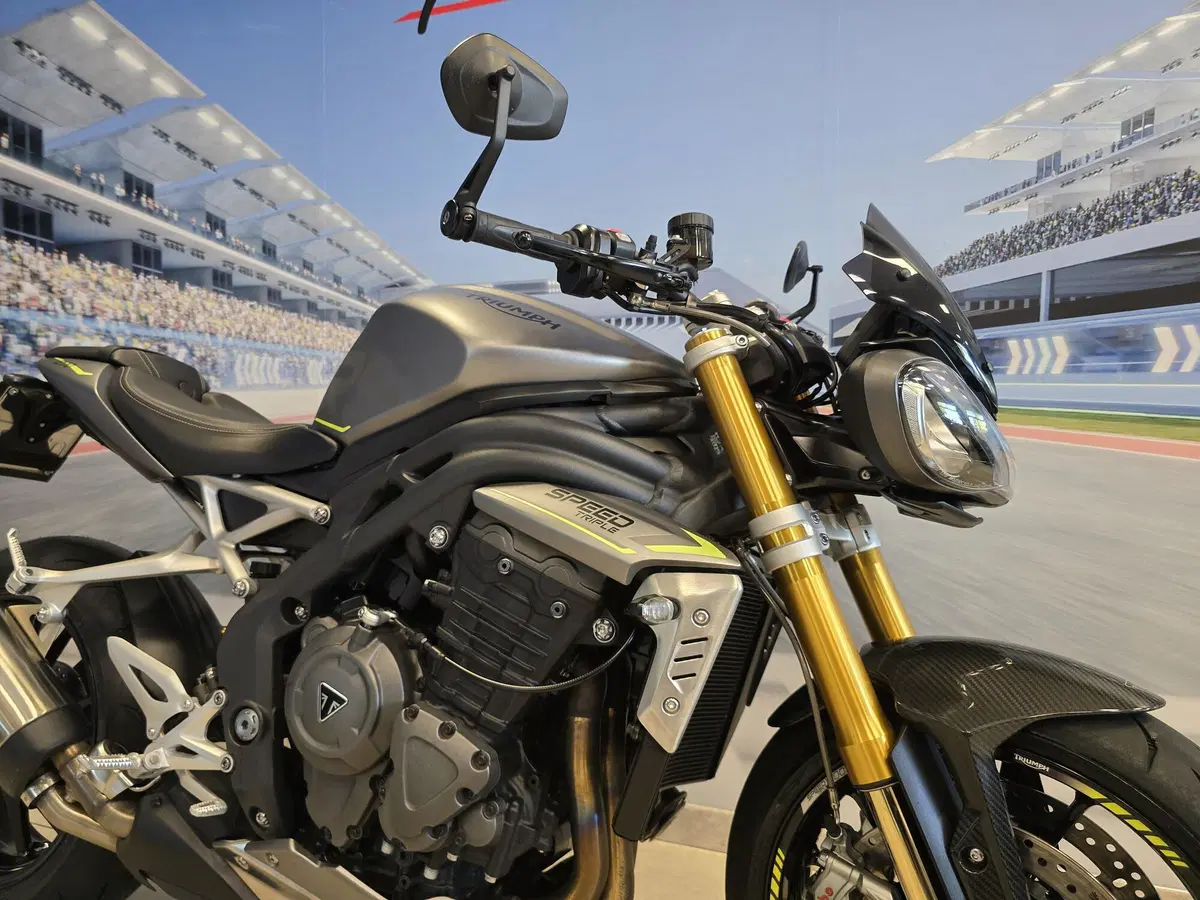 Triumph Speed Triple 1200 RS (2021 - 24) (16)