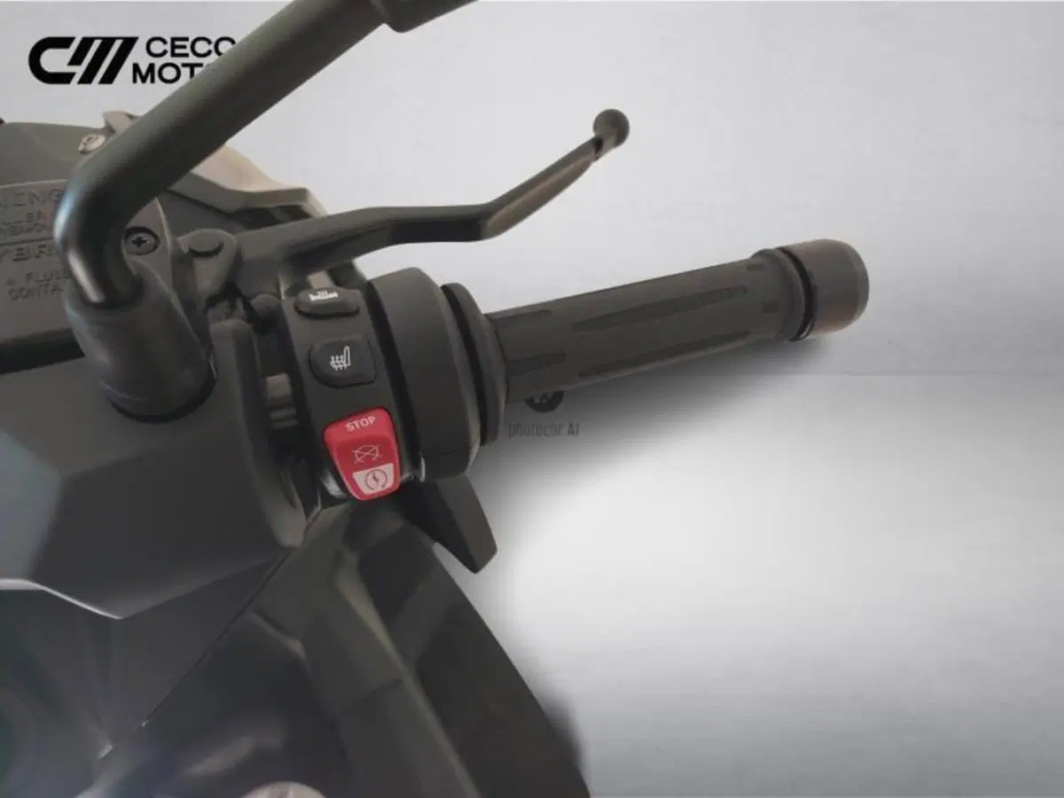 Bmw C 400 X (2025 - 26) (9)