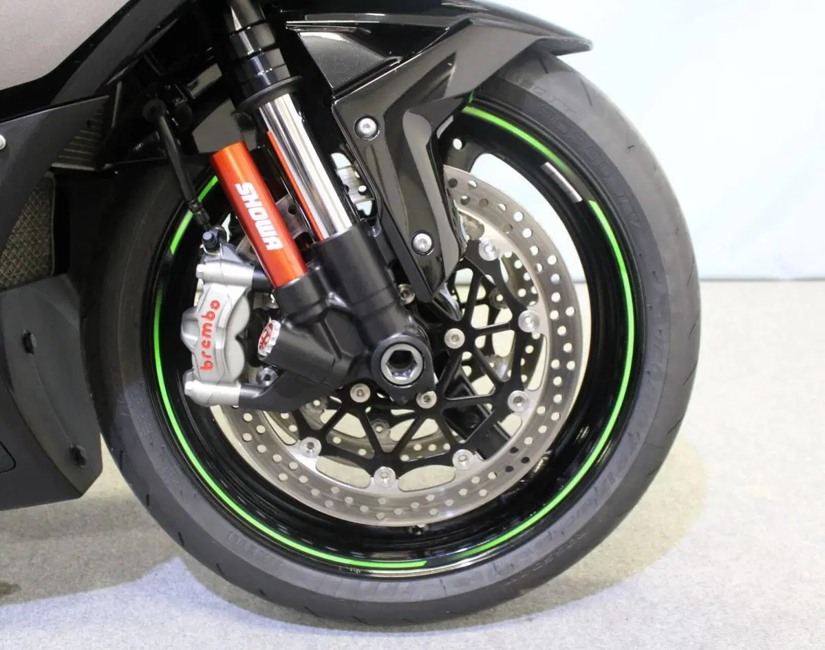 Kawasaki Ninja 1000 ZX-10R (2021 - 25) (8)