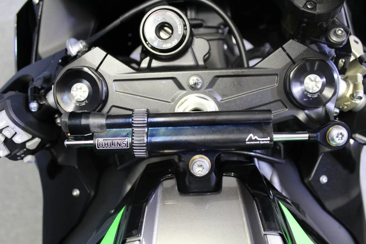 Kawasaki Ninja 1000 ZX-10R (2021 - 25) (13)