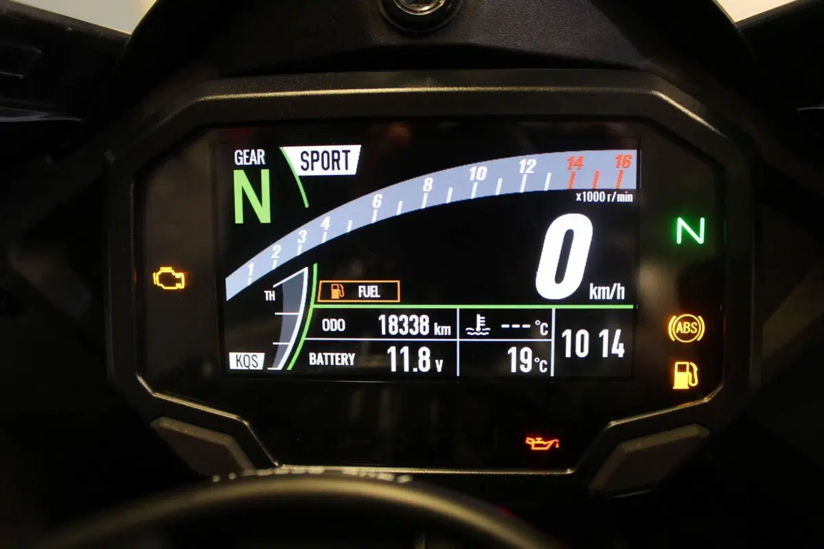 Kawasaki Ninja 1000 ZX-10R (2021 - 25) (3)