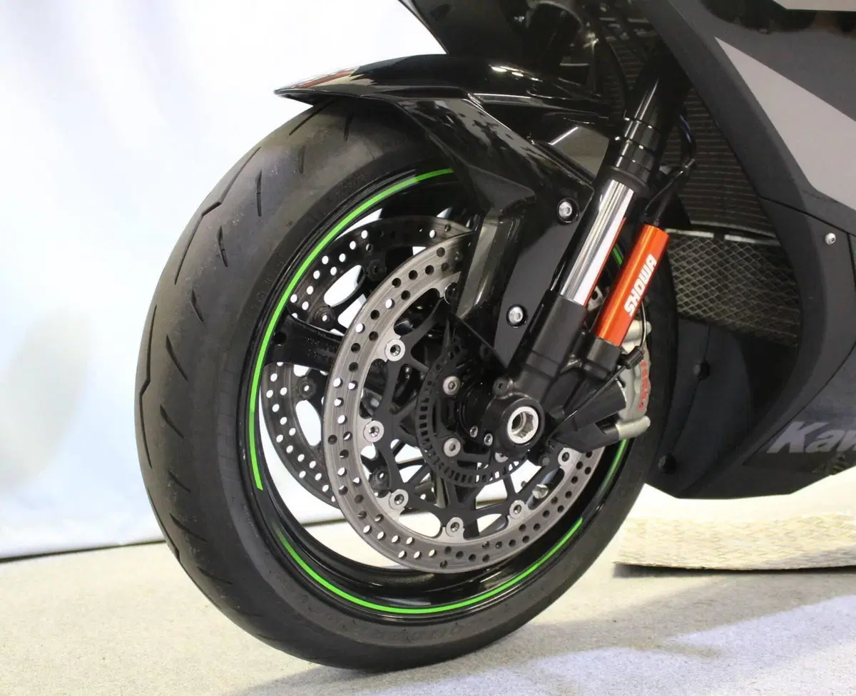 Kawasaki Ninja 1000 ZX-10R (2021 - 25) (16)