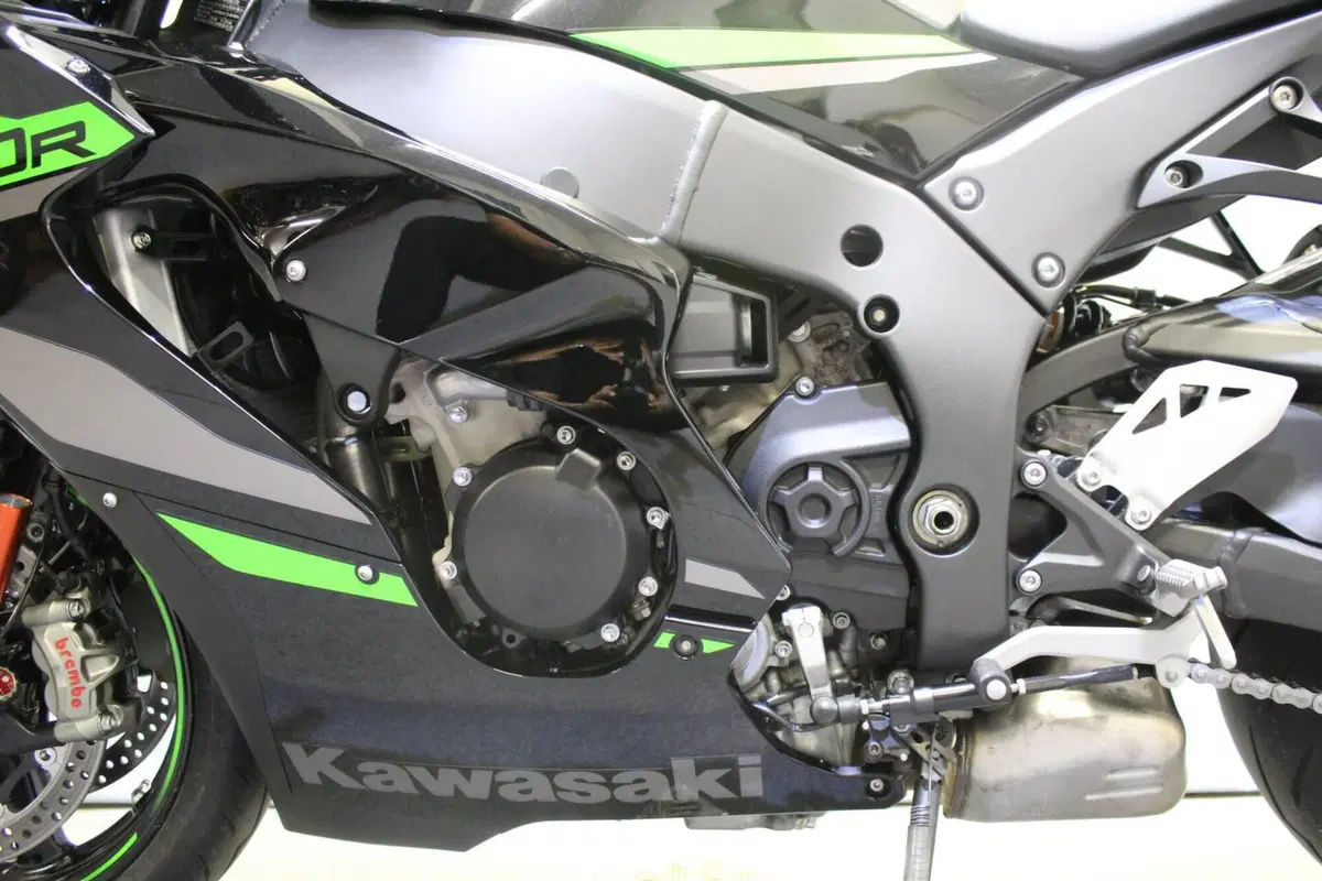 Kawasaki Ninja 1000 ZX-10R (2021 - 25) (18)
