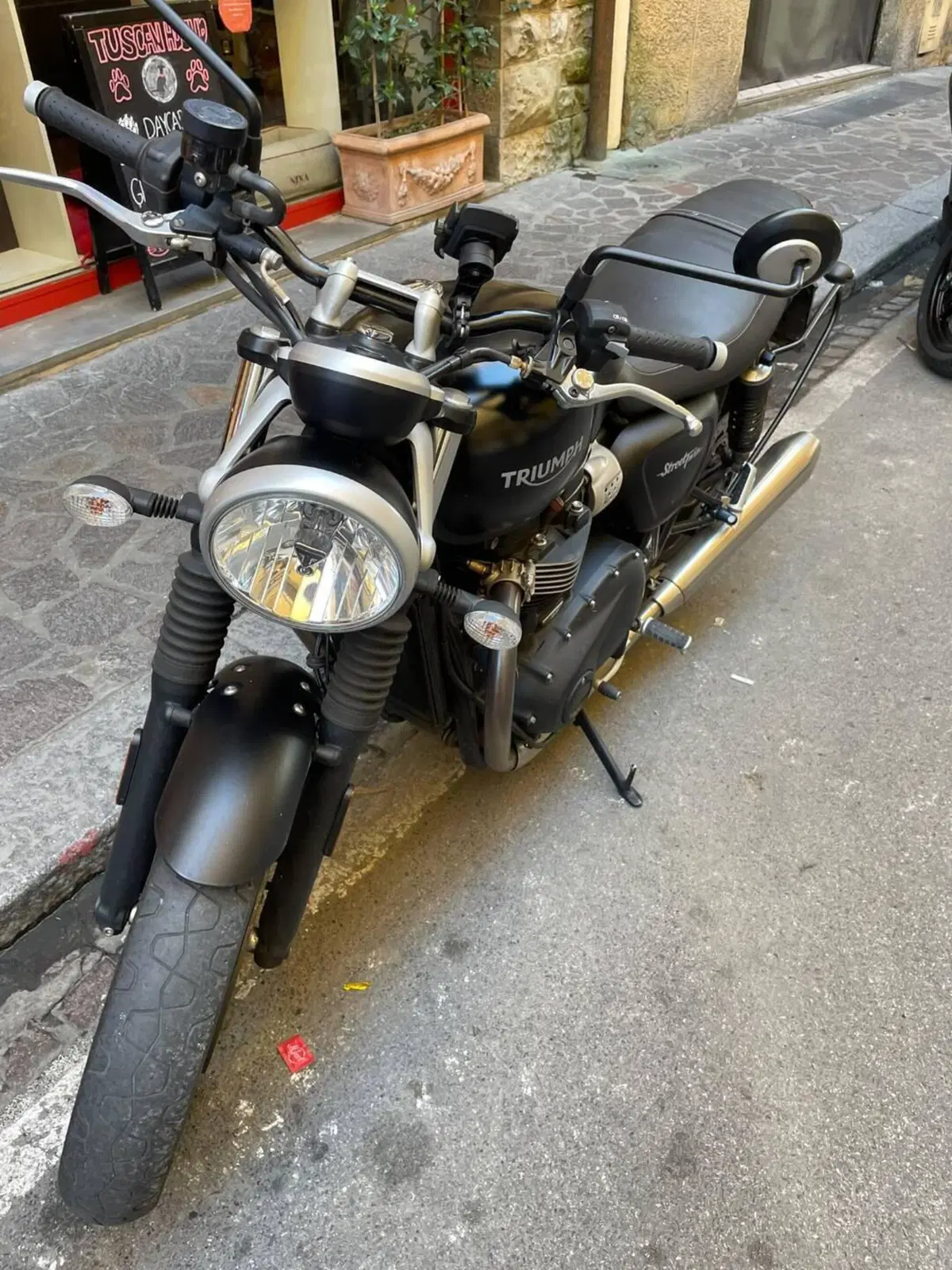 Triumph Street Twin 900 (2017 - 18) (3)