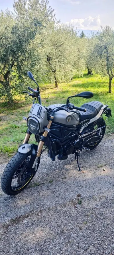 Benelli Leoncino 800 Trail (2022 - 26) usata
