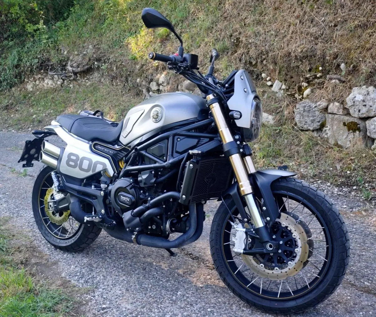 Benelli Leoncino 800 Trail (2022 - 26) (7)