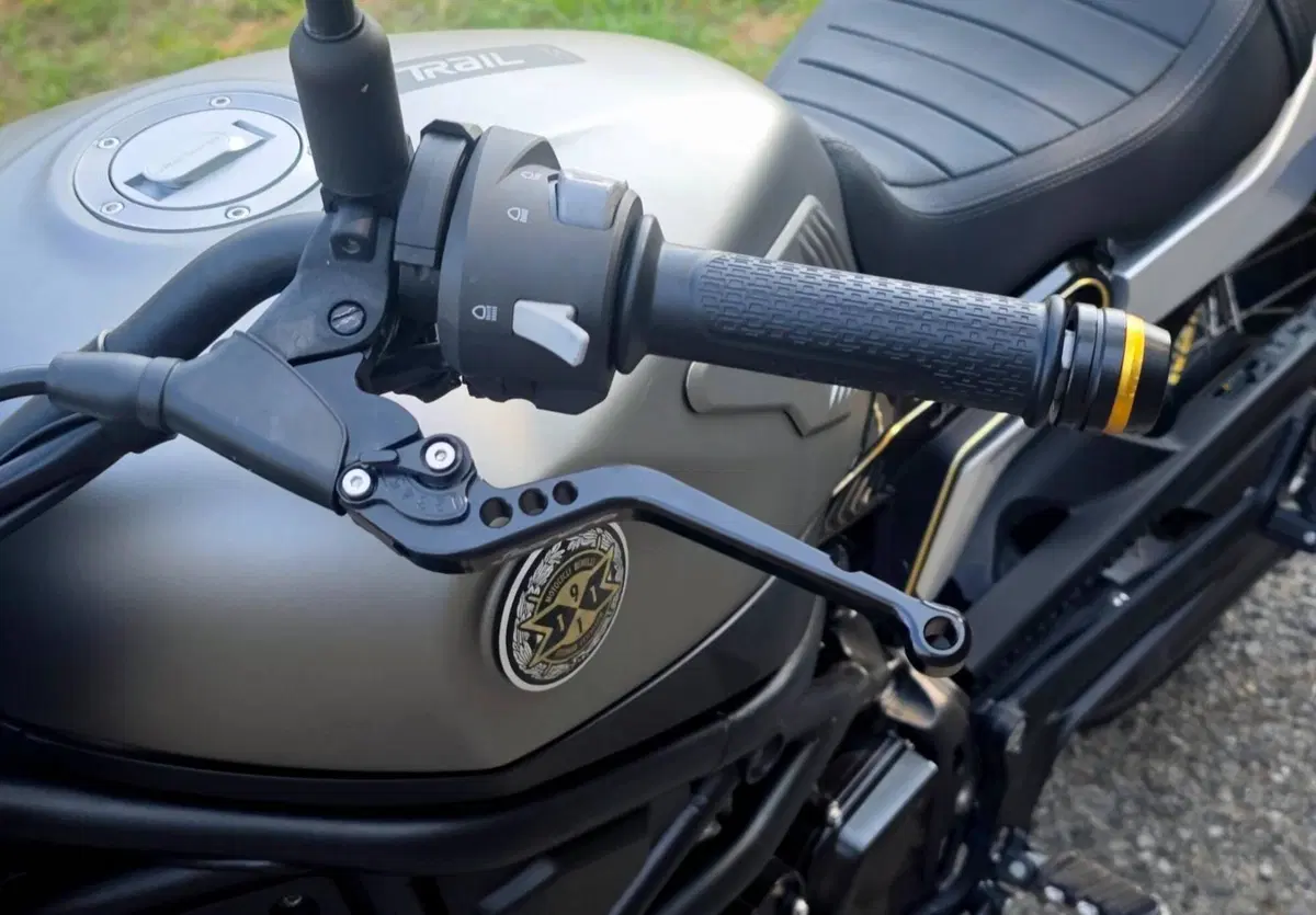 Benelli Leoncino 800 Trail (2022 - 26) (10)