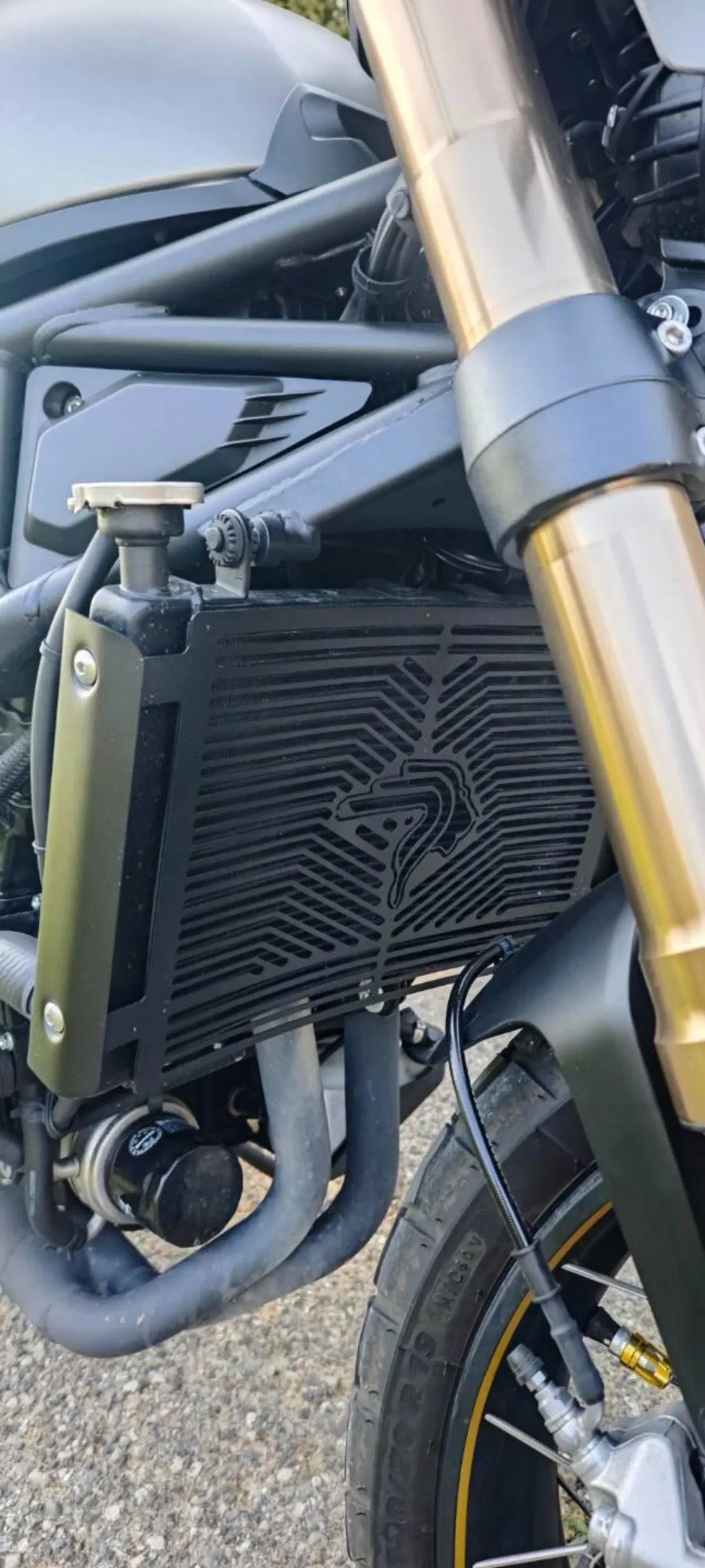 Benelli Leoncino 800 Trail (2022 - 26) (11)