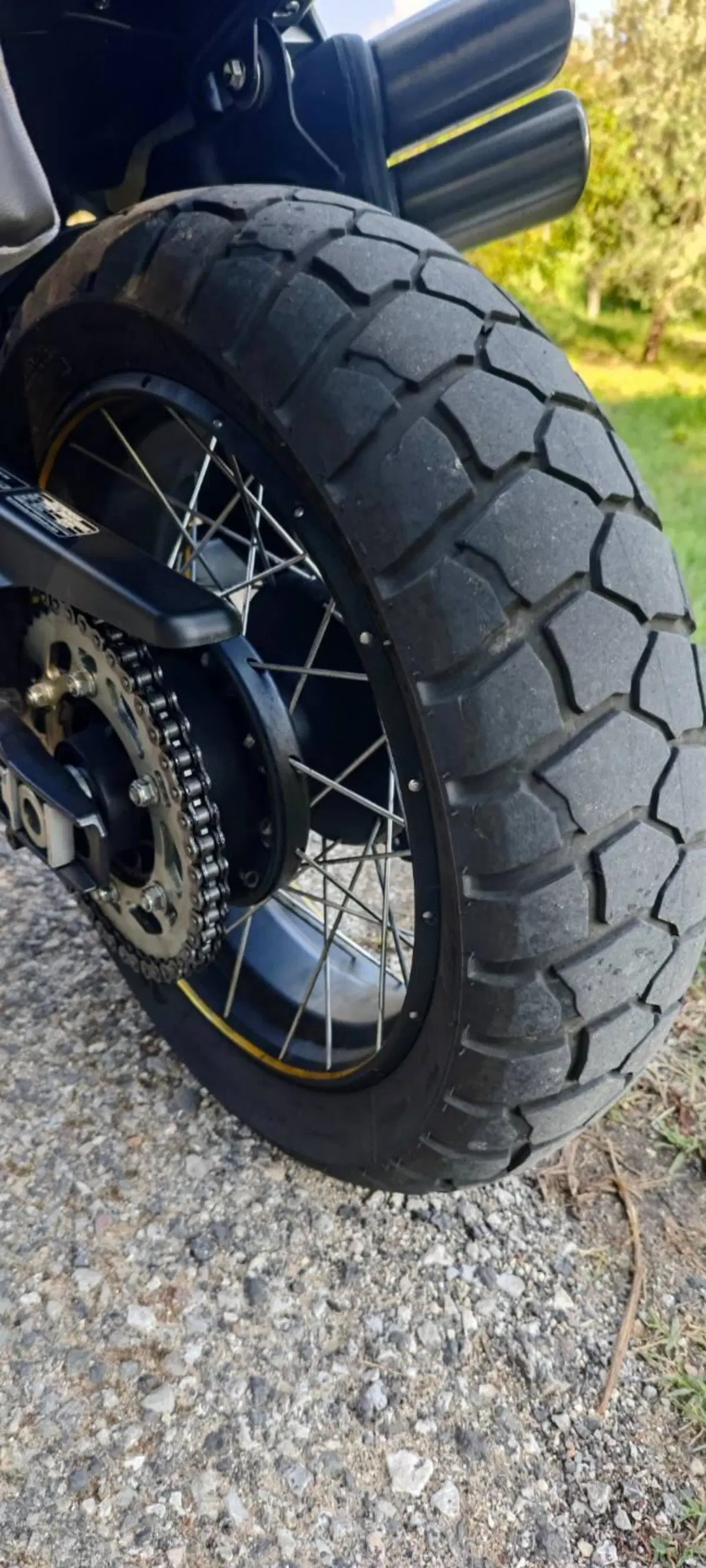 Benelli Leoncino 800 Trail (2022 - 26) (12)