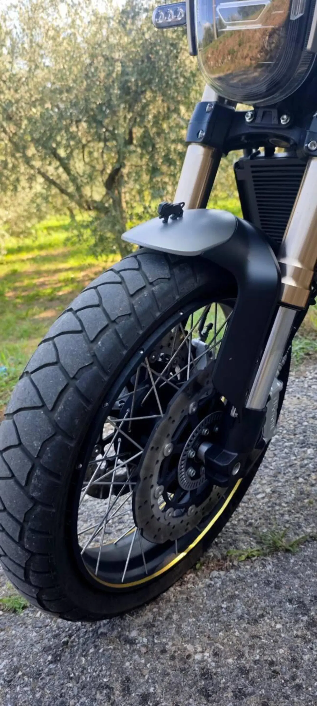 Benelli Leoncino 800 Trail (2022 - 26) (13)
