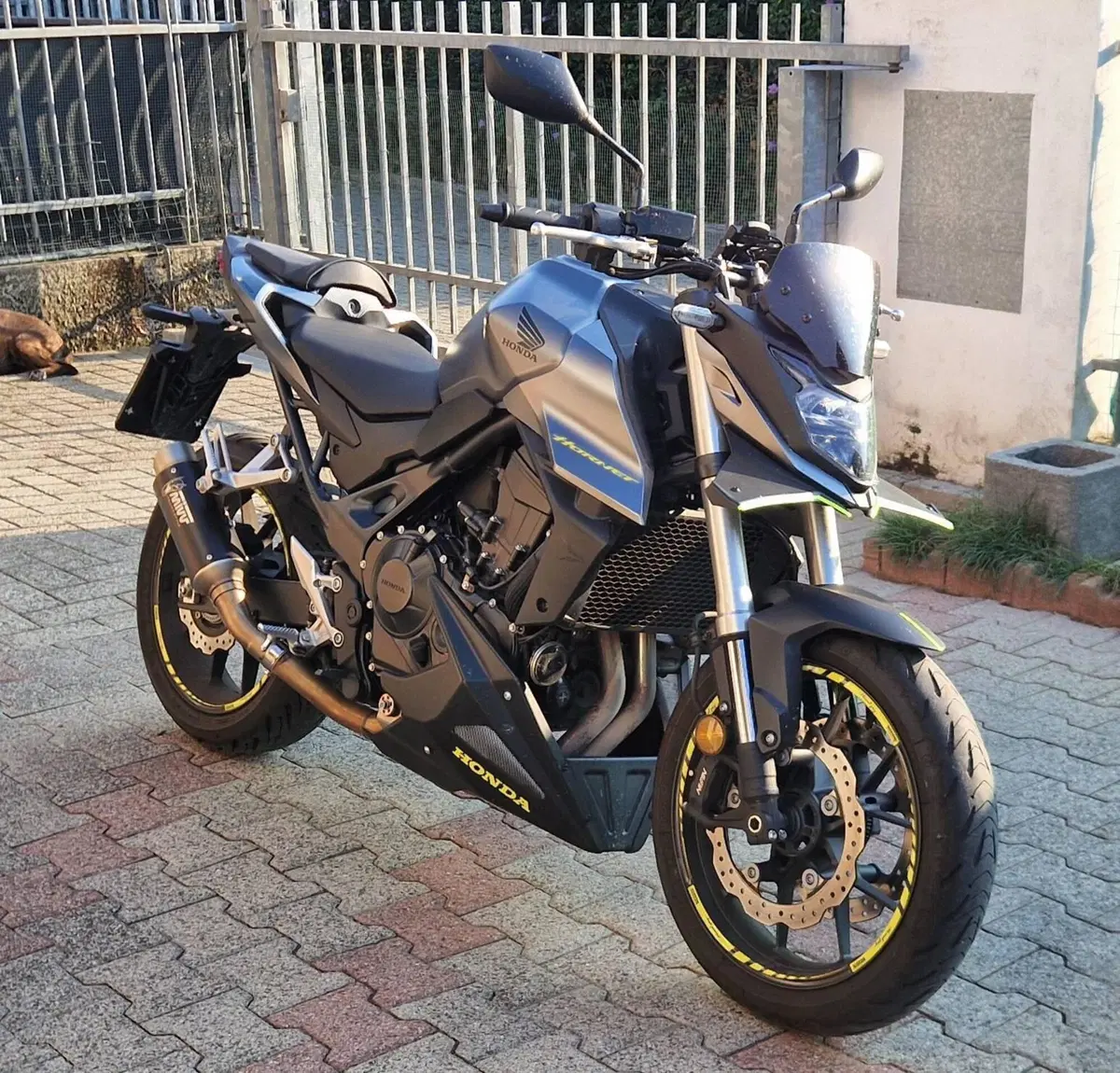 Honda CB 750 Hornet (2023 - 24)