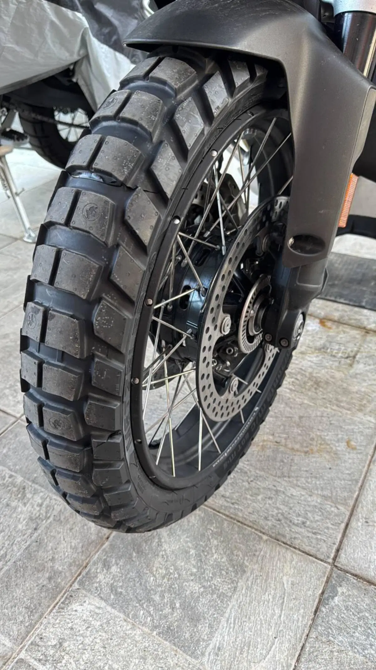 Bmw R 1300 GS Adventure Trophy (2025 - 26) (4)