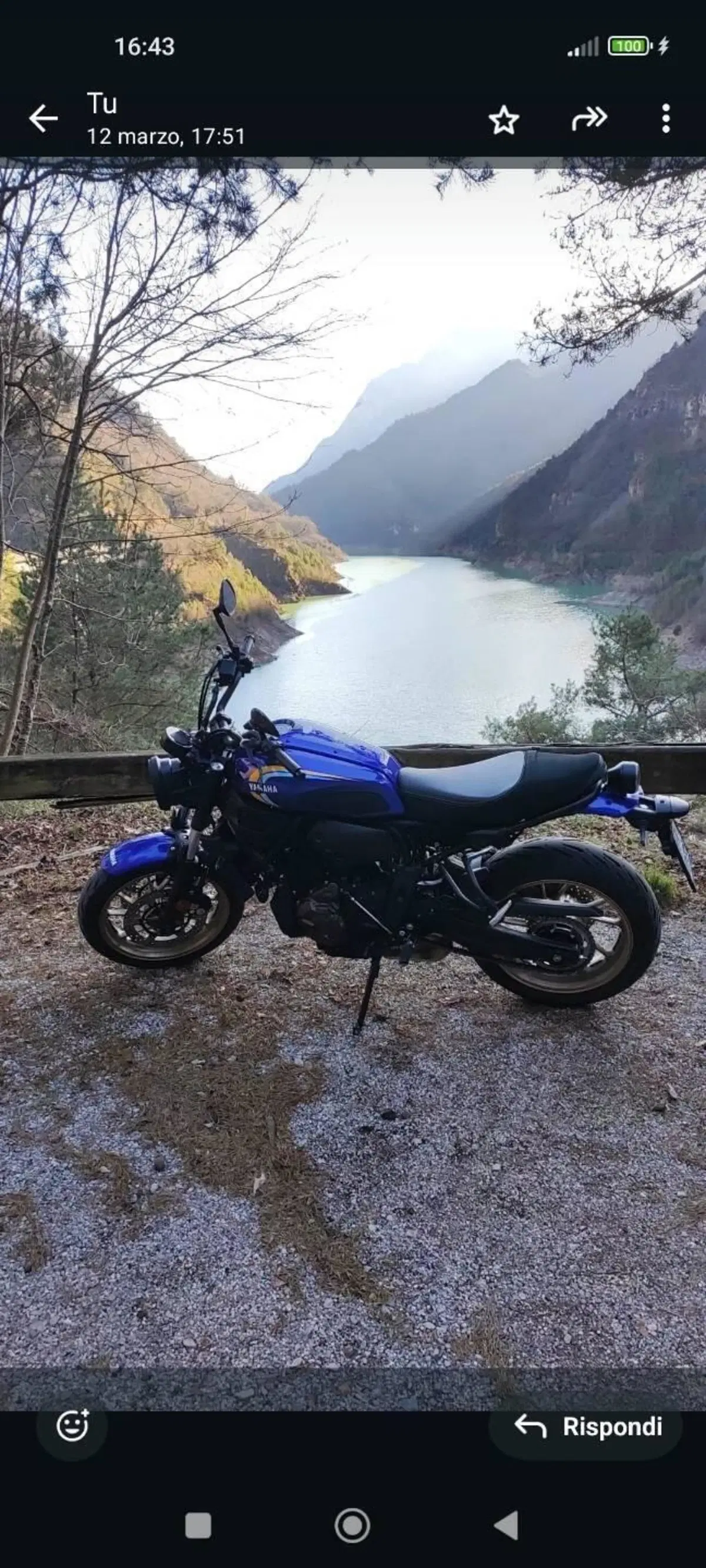 Yamaha XSR 700 (2022 - 26) (2)