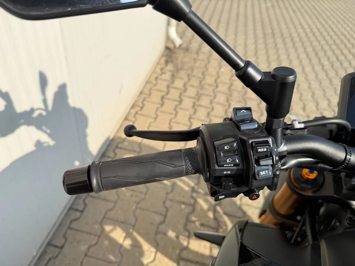 Yamaha MT-09 SP (2021 - 23) (10)