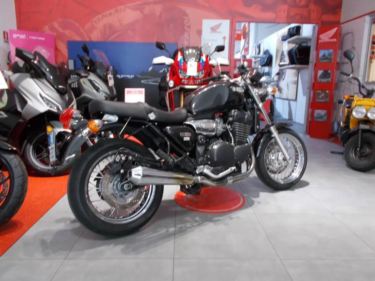 Triumph Legend TT 900 (1998 - 02) (9)
