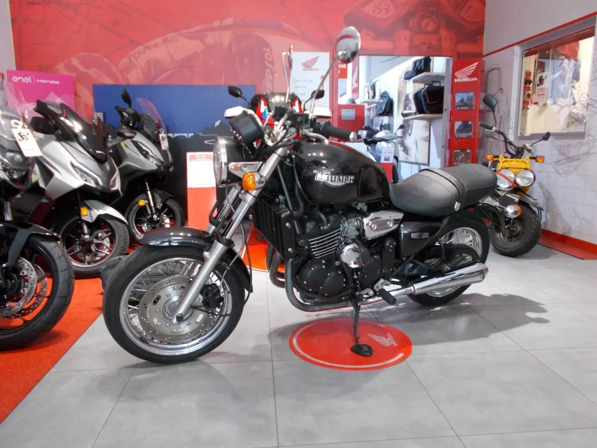 Triumph Legend TT 900 (1998 - 02) (14)