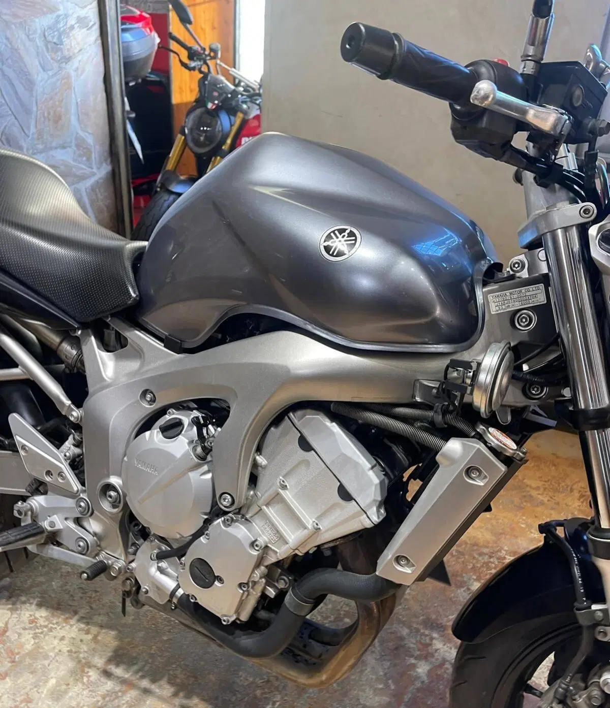 Yamaha FZ6 (2004 - 07) (10)