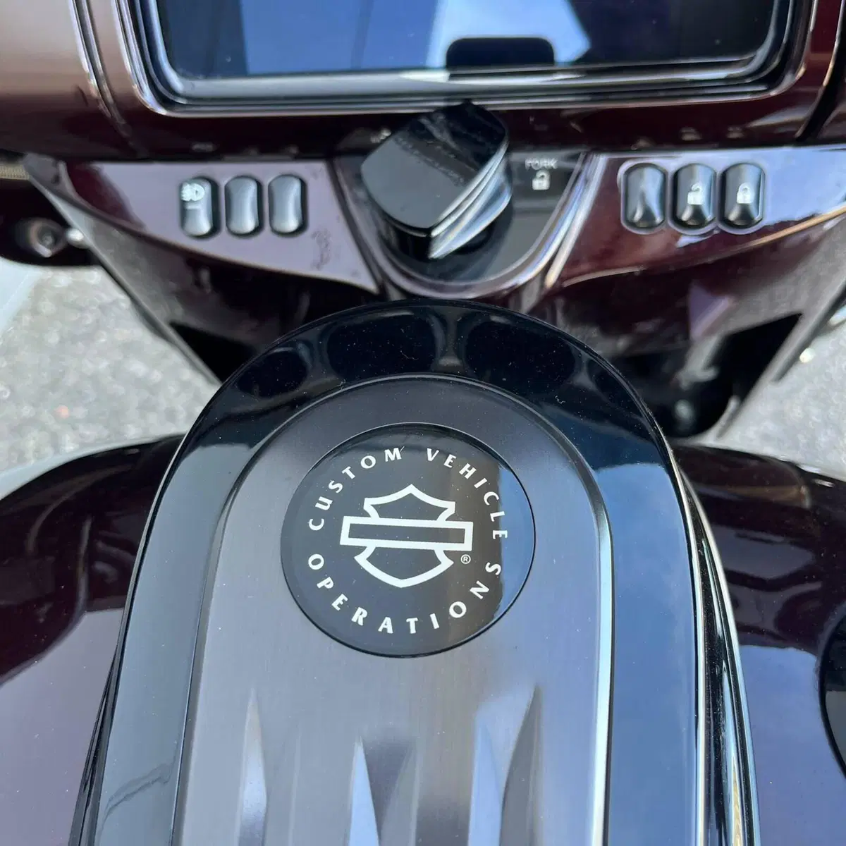Harley-Davidson 117 Street Glide (2018 - 20) - FLHXSE (10)