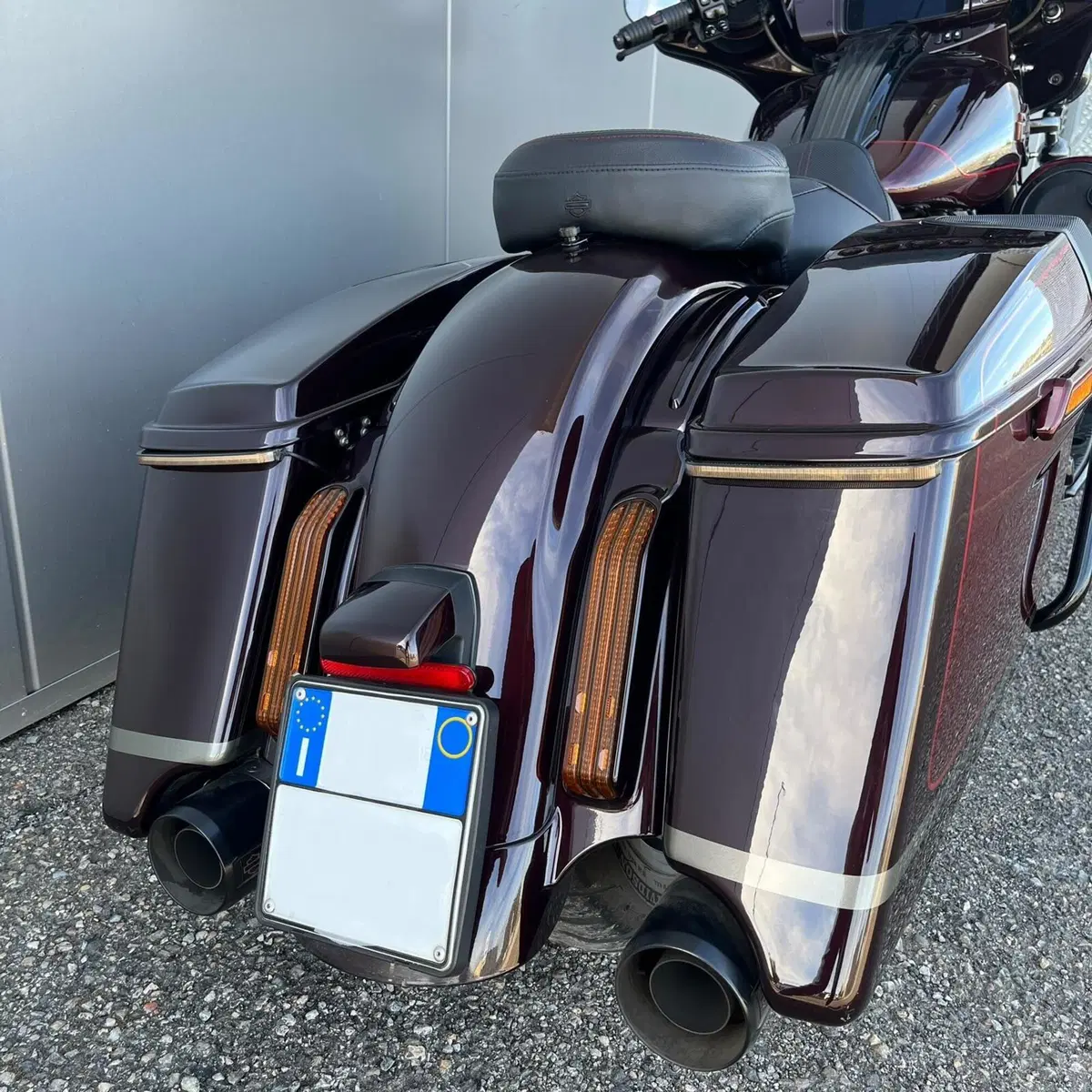Harley-Davidson 117 Street Glide (2018 - 20) - FLHXSE (15)