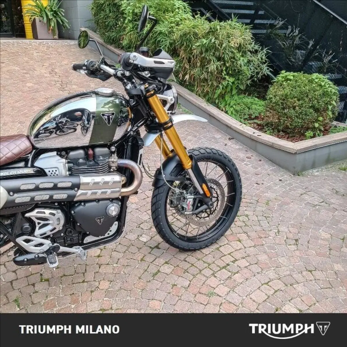 Triumph Scrambler 1200 XE (2021 - 23) (5)