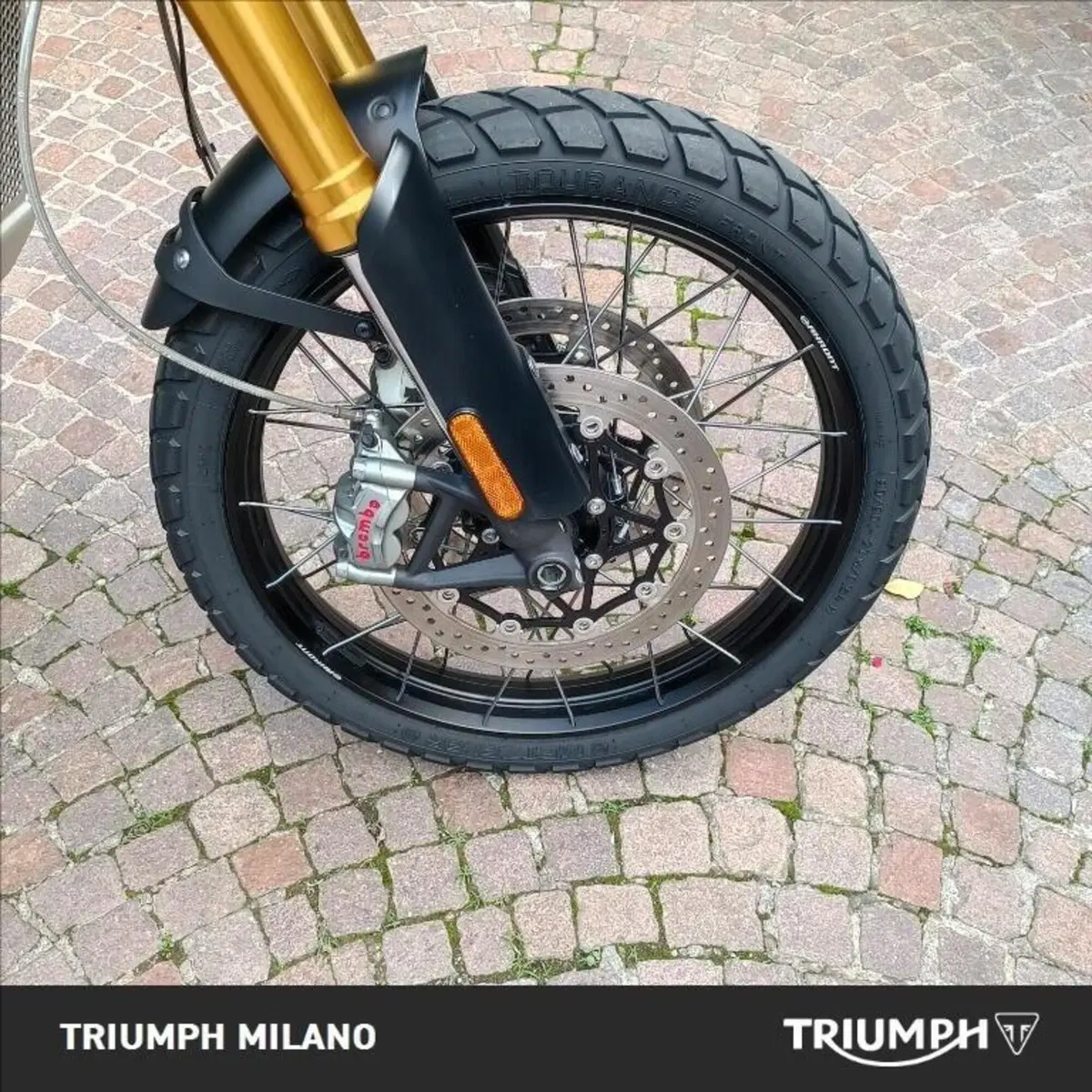 Triumph Scrambler 1200 XE (2021 - 23) (9)