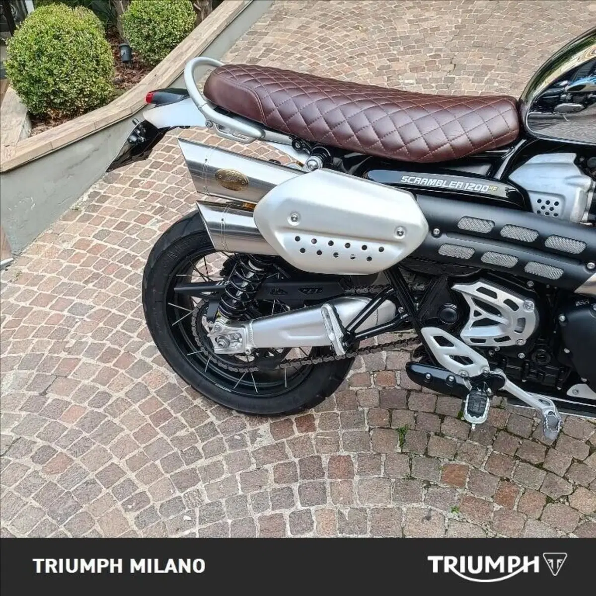 Triumph Scrambler 1200 XE (2021 - 23) (2)
