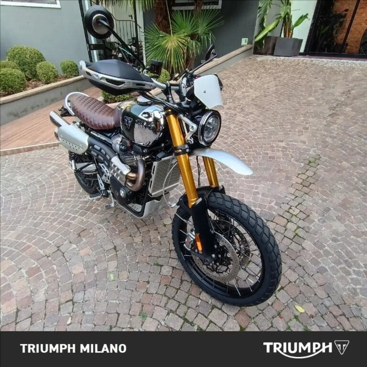 Triumph Scrambler 1200 XE (2021 - 23) (6)