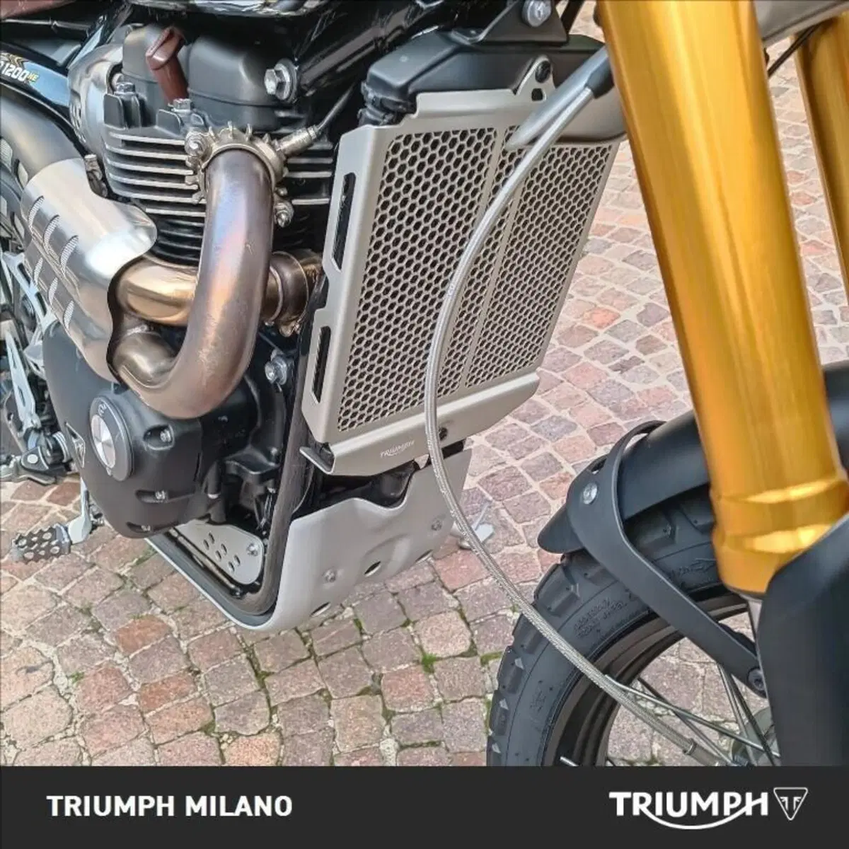 Triumph Scrambler 1200 XE (2021 - 23) (8)
