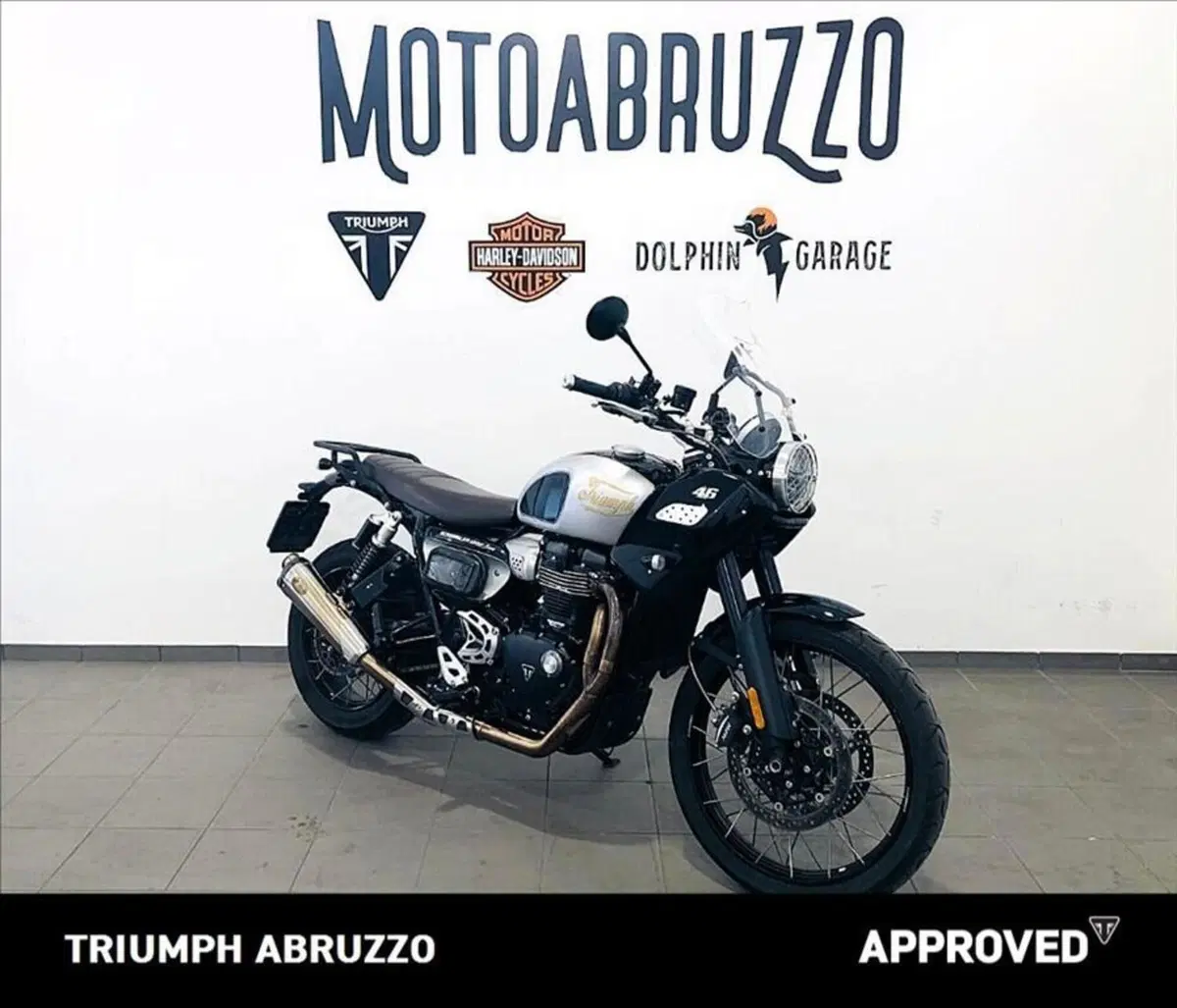 Triumph Scrambler 1200 XE Icon Edition (2025 - 26) (13)