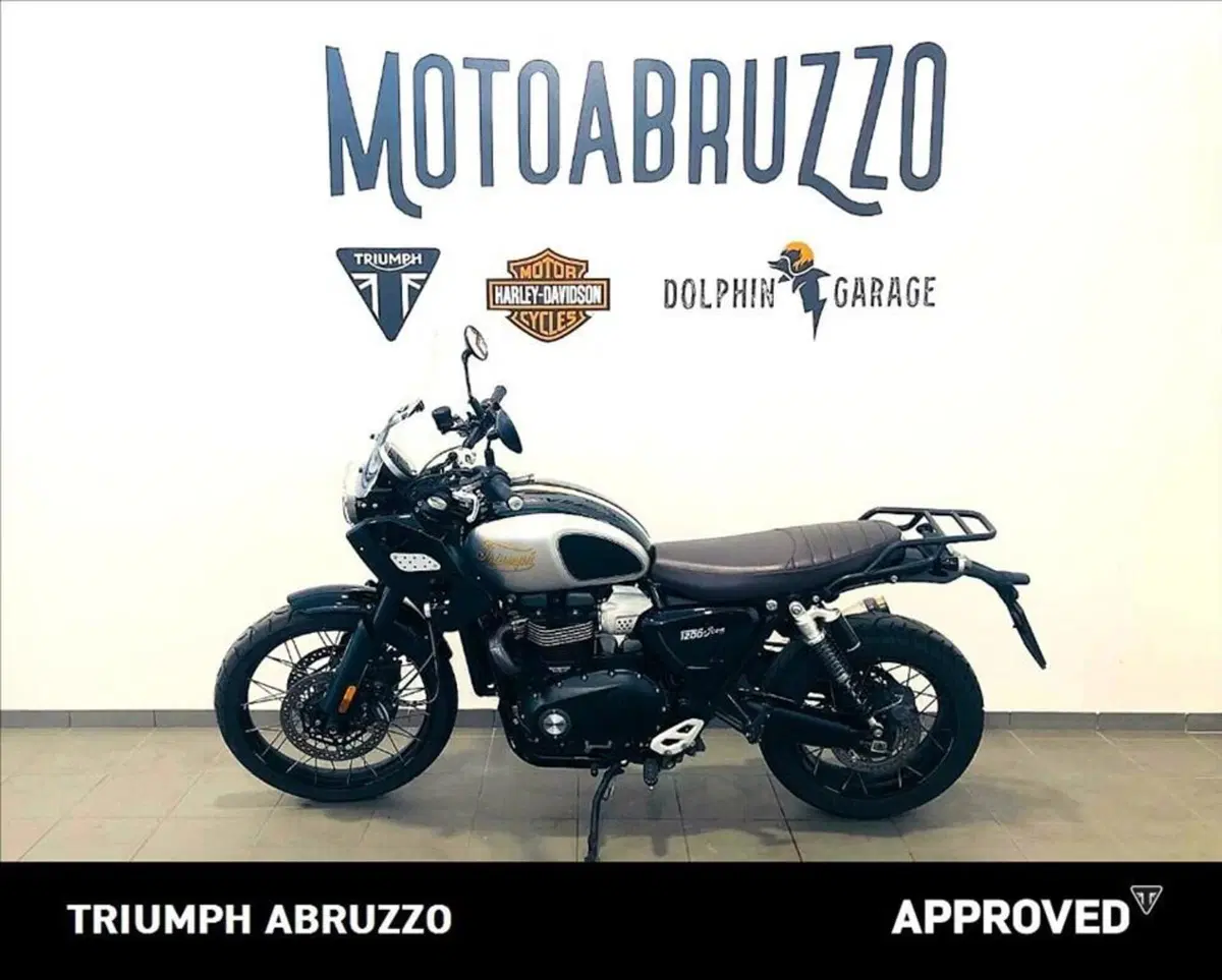 Triumph Scrambler 1200 XE Icon Edition (2025 - 26) (2)