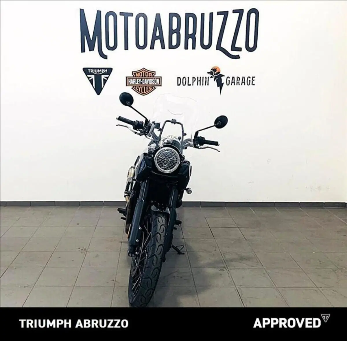 Triumph Scrambler 1200 XE Icon Edition (2025 - 26) (14)
