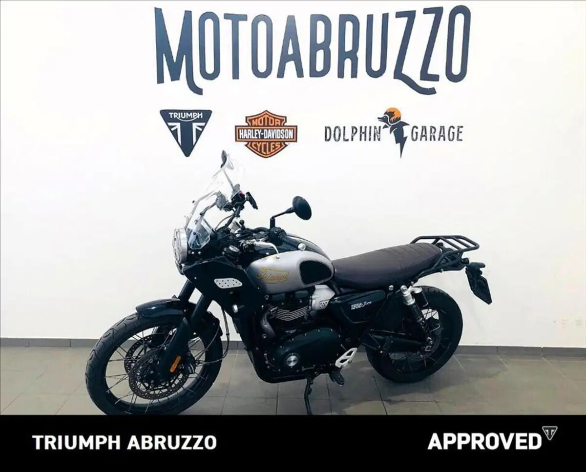 Triumph Scrambler 1200 XE Icon Edition (2025 - 26) (15)