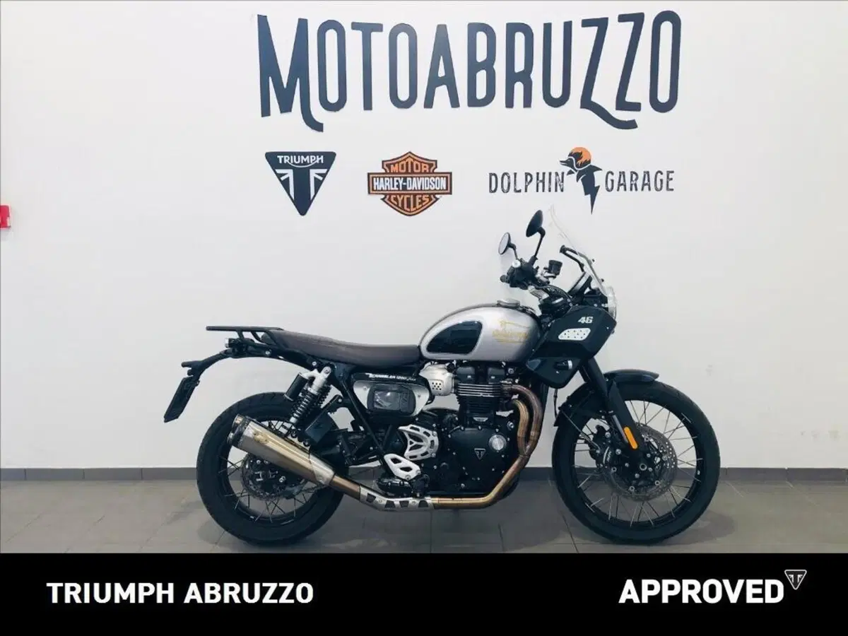 Triumph Scrambler 1200 XE Icon Edition (2025 - 26) (9)